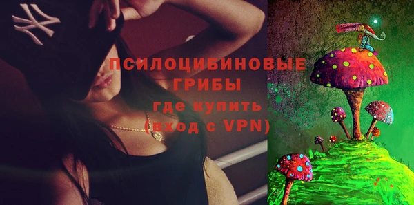 стаф Алексеевка
